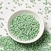 6/0 Opaque Colours Seep Glass Seed Beads X-SEED-F003-04A-06-2