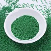 MIYUKI Delica Beads LS-X-SEED-J020-DB0655-2