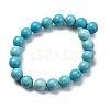 Dyed Natural Magnesite Beads Strands G-P558-A01-01B-3