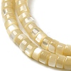 Natural Trochus Shell Beads Strands SHEL-K006-26-3