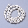 Polished Shell Pearl Beads Strands BSHE-L042-A02-3