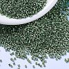 MIYUKI Delica Beads SEED-MY11-DB1845-4