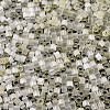MIYUKI Delica Beads X-SEED-J020-DB0823-3