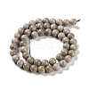 Natural Rainbow Alashan Agate Beads Strands G-NH0022-A09-02-3