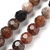 Natural Petrified Wood Beads Strands G-C150-B01-02-2