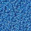 TOHO 8/0 Round Beads X-SEED-TR08-0917-2