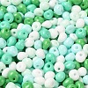 6/0 Opaque Baking Paint Glass Seed Beads SEED-M012-02A-27-3