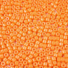 Opaque Baking Paint Glass Seed Beads SEED-T008-02F-3