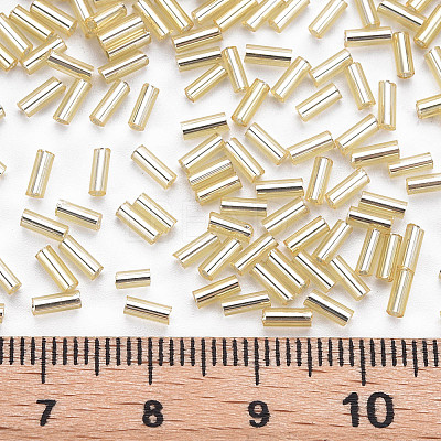 Plated Glass Bugle Beads SEED-S046-01A-22-1