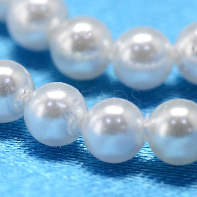 Round Shell Pearl Bead Strands X-BSHE-L011-2.5mm-A013-1