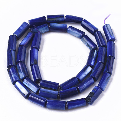 Natural Freshwater Shell Beads SHEL-R047-01B-1