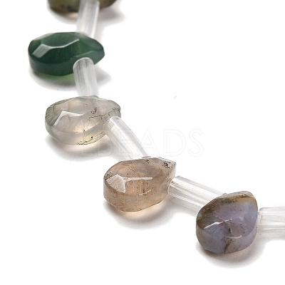 Natural Indian Agate Beads Strands G-Q167-A24-02-1
