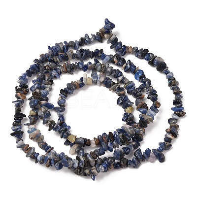 Natural Sodalite Chips Beads Strands F024-1