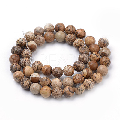 Natural Picture Jasper Beads Strands G-S259-27-8mm-1