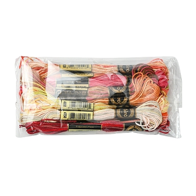 6-Ply Polyester Embroidery Floss OCOR-FZ0001-01E-1