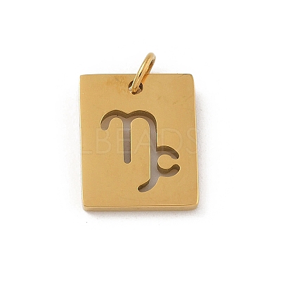 304 Stainless Steel Charms STAS-R001-03G-10-1