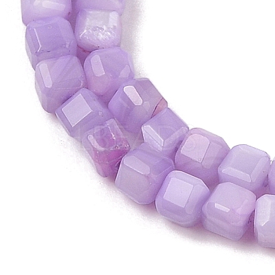 Natural Freshwater Shell Dyed Beads Strands SHEL-R100-11A-04-1