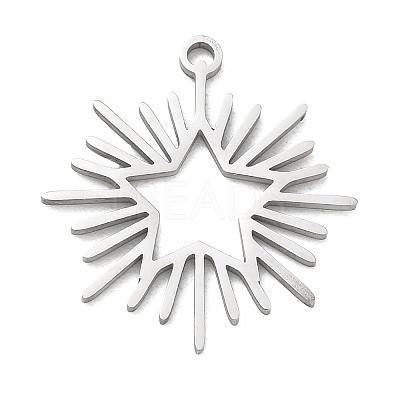 304 Stainless Steel Pendants SA-CBAAC28-05P-1