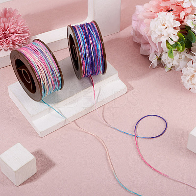 2 Rolls 2 Colors Segment Dyed Round Polyester Twisted Cords OCOR-TA0003-65D-1