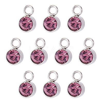 10Pcs Glass Rhinestone Charms STAS-TA0003-26H-1