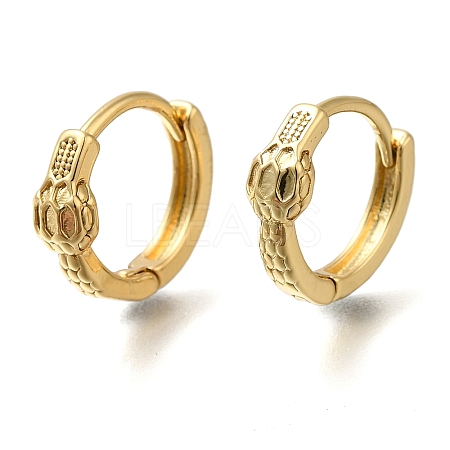 Rack Plating Brass Hoop Earrings KK-S402-03D-1