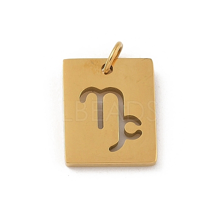 304 Stainless Steel Charms STAS-R001-03G-10-1