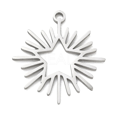 304 Stainless Steel Pendants SA-CBAAC28-05P-1