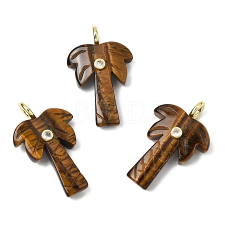 Natural Tiger Eye Carved Pendants G-C282-04C-1