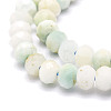 Natural Gemstone Beads  Strands G-E569-I20-3