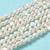 Natural Cultured Freshwater Pearl Beads Strands PEAR-E017-16-2