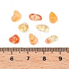 Transparent Acrylic Beads LS-OACR-N137-44C-3