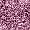 8/0 Glass Seed Beads SEED-A017-3mm-1110-2