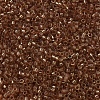 MIYUKI Delica Beads SEED-X0054-DB0121-3