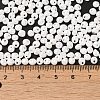 6/0 Glass Seed Beads SEED-M012-01A-16-4