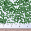 MIYUKI Round Rocailles Beads SEED-G007-RR0411-4