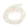 Transparent Glass Beads Strand GLAA-F112-04K-3
