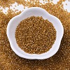 MIYUKI Delica Beads X-SEED-J020-DB0065-2