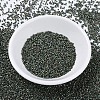 MIYUKI Delica Beads SEED-MY11-DB0324-2