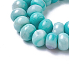 Natural Dyed Agate Imitation Turquoise Beads Strands G-P425-01A-02-3