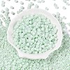 Opaque Baking Paint Glass Seed Beads SEED-T008-02M-2
