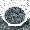 Glass Seed Beads SEED-A011-3mm-156-2