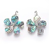 Abalone Shell/Paua Shell Pendants SSHEL-L008-64A-2