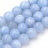 Natural Aquamarine Beads Strands G-Q951-01-10mm-1