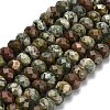 Natural Rhyolite Jasper Beads Strands G-Z111-A14-01-3