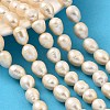 Natural Cultured Freshwater Pearl Beads Strands PEAR-I007-01H-02B-1