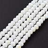 Electroplate Opaque Solid Color Glass Beads Strands LS-EGLA-A034-P8mm-L17-2