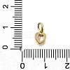 Brass Micro Pave Cubic Zirconia Charms KK-P295-14G-01-3
