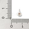 925 Sterling Sliver Cubic Zirconia Flat Round Charms STER-R002-02S-06-3