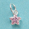 925 Sterling Silver Charms STER-G035-01C-04-1