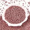 8/0 Glass Seed Beads X-SEED-A017-3mm-1108-1